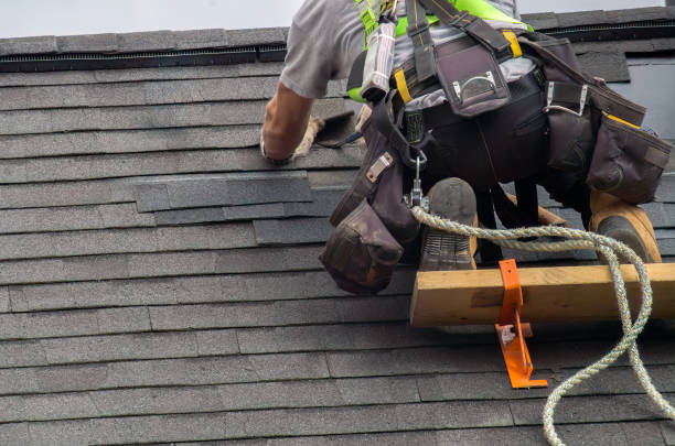 Storm Damage Siding Repair in Eastover, NC